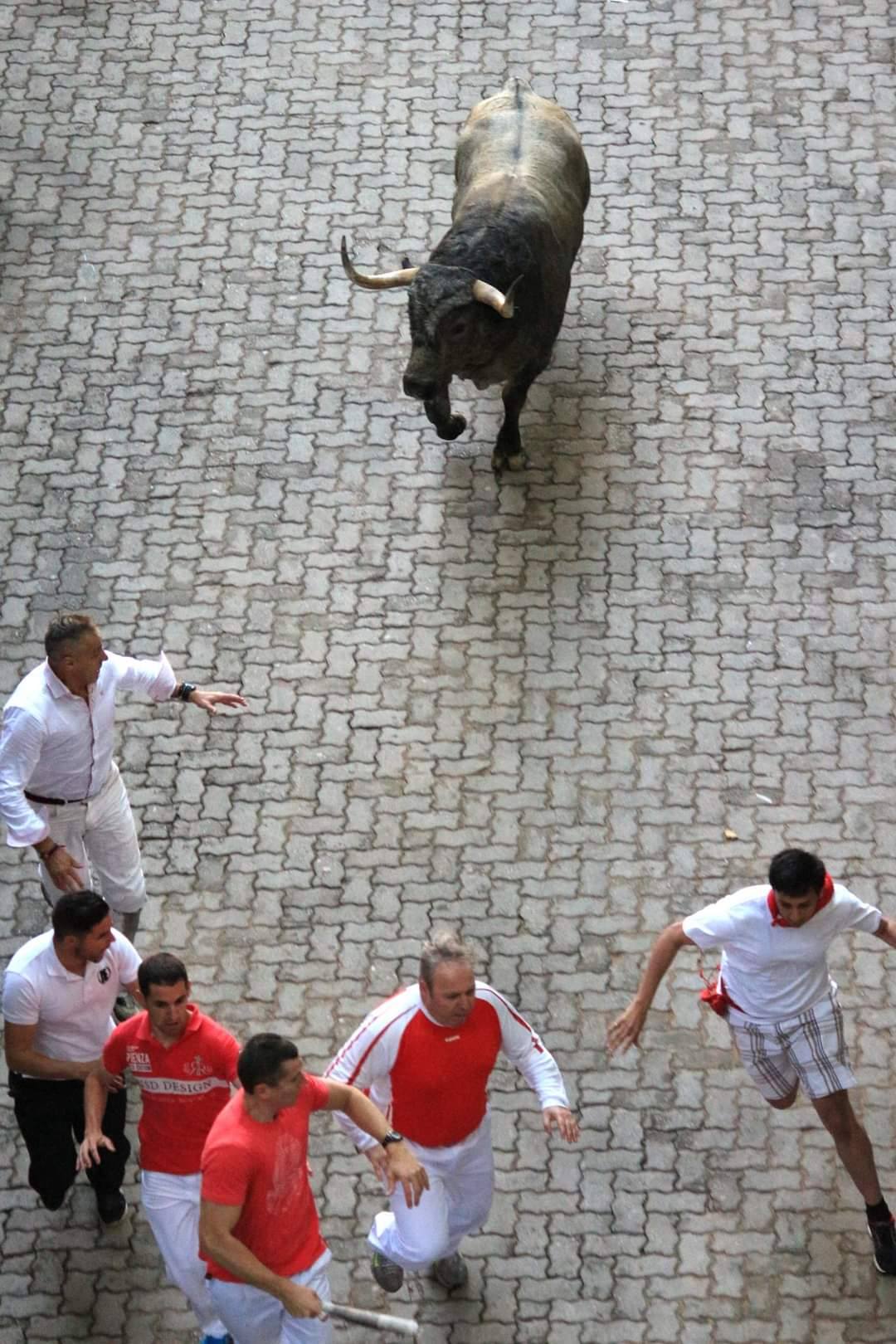 525867942_25125277920394018_7984942775301667099_n